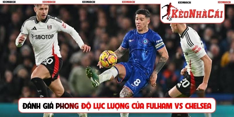 Đánh giá phong độ và lực lượng của Fulham vs Chelsea